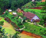 DALAT CULTURAL TOUR FULL DAY 4