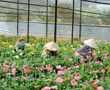DALAT COUNTRYSIDE FULL DAY 1