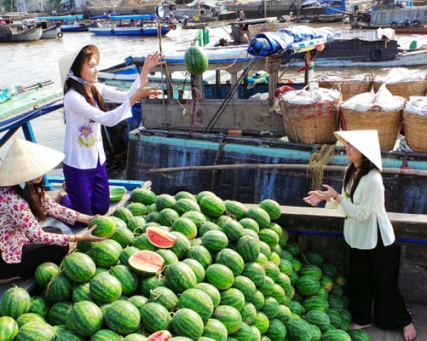 Tham Quan  Miền Tây - Rừng Tràm Trà Sư 02 Ngày 01 Đêm